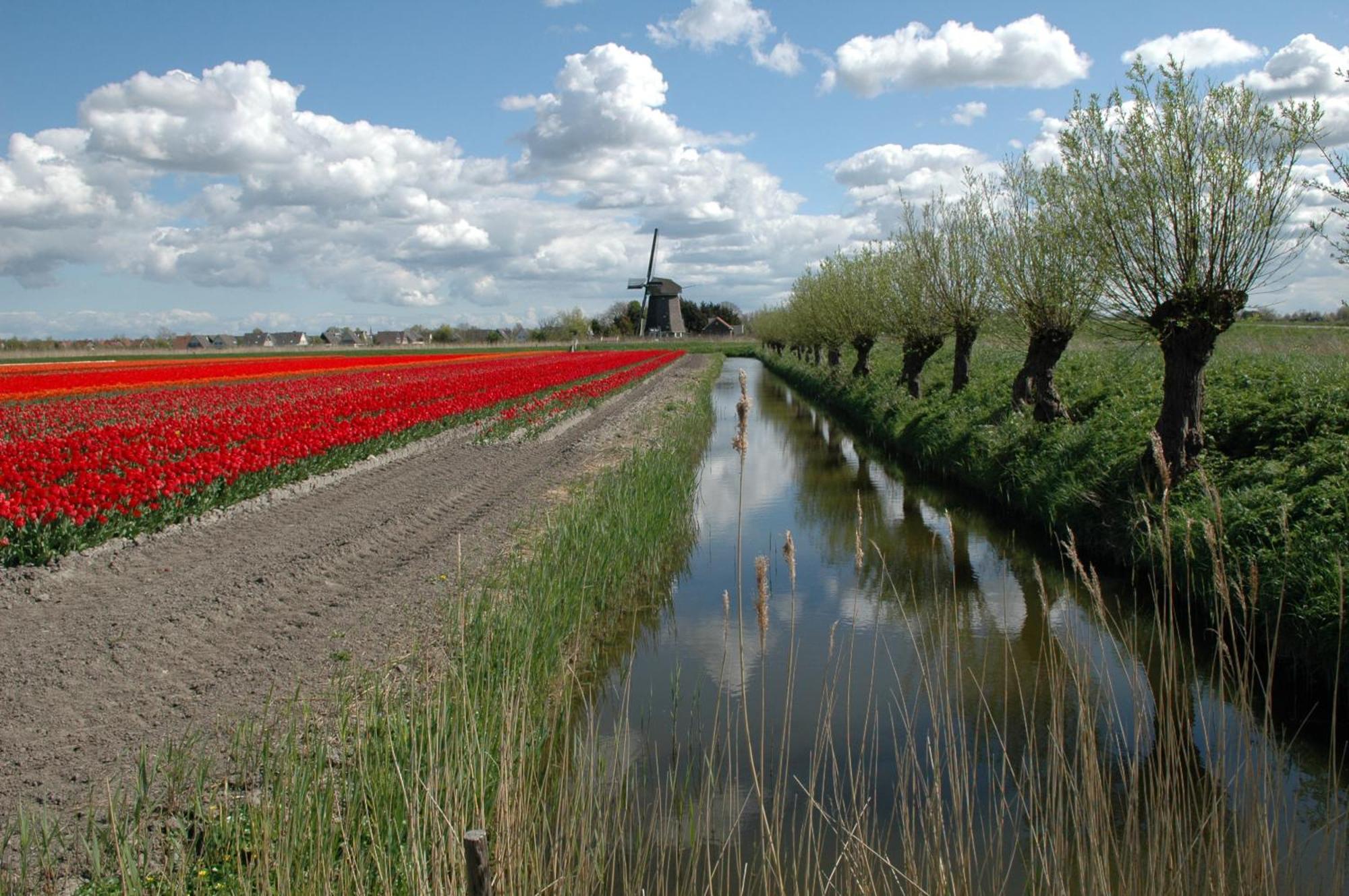 וירינגרוורף Hotelhuisjes Medemblik מראה חיצוני תמונה